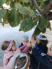 IMG_20221027_102544.jpg